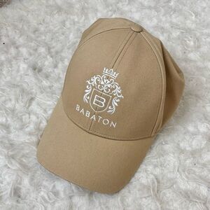 Aritzia Babaton Neutral Hat
